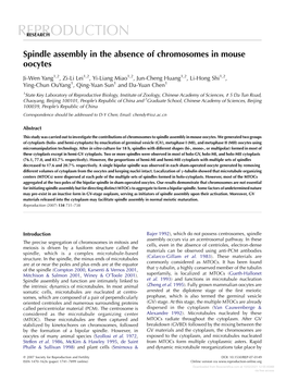 Spindle Assembly in the Absence of Chromosomes in Mouse Oocytes