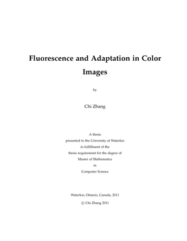 Fluorescence and Adaptation in Color Images