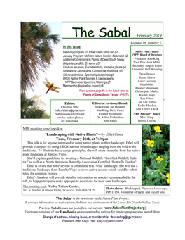 Sabal Feb 2019