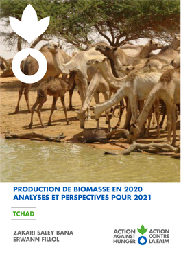 Production De Biomasse En 2020 Analyses Et Perspectives Pour 2021