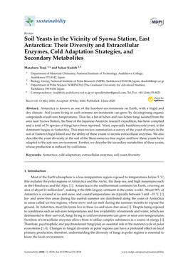 Soil Yeasts in the Vicinity of Syowa Station, East Antarctica: Their Diversity and Extracellular Enzymes, Cold Adaptation Strategies, and Secondary Metabolites