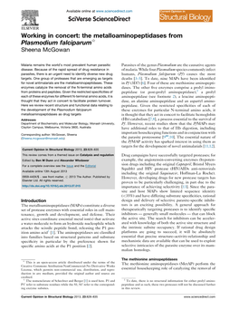 The Metalloaminopeptidases from Plasmodium