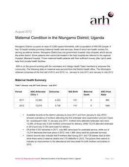 Assessing Maternal Health in Ntungamo