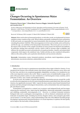 Changes Occurring in Spontaneous Maize Fermentation: an Overview