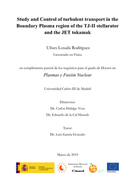 Study and Control of Turbulent Transport in the Boundary Plasma Region of the TJ-II Stellarator and the JET Tokamak