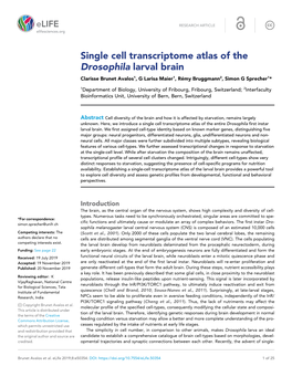 Single Cell Transcriptome Atlas of the Drosophila Larval Brain Clarisse Brunet Avalos1, G Larisa Maier1, Re´ My Bruggmann2, Simon G Sprecher1*