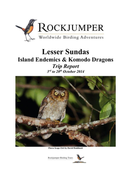 Lesser Sundas Island Endemics & Komodo Dragons Trip Report 3Rd to 20Th October 2014