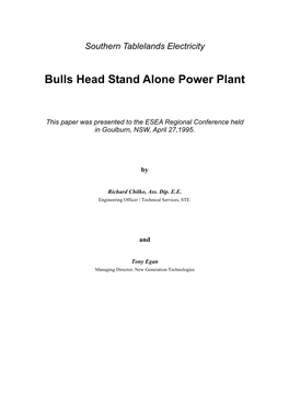 Bulls Head Stand Alone Power Plant