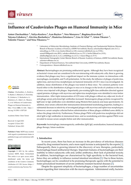 Influence of Caudovirales Phages on Humoral Immunity in Mice