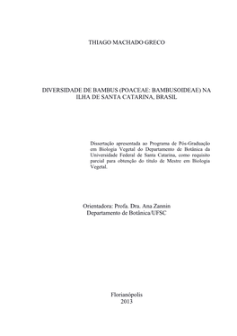 THIAGO MACHADO GRECO DIVERSIDADE DE BAMBUS (POACEAE: BAMBUSOIDEAE) NA ILHA DE SANTA CATARINA, BRASIL Orientadora: Profa. Dra. An