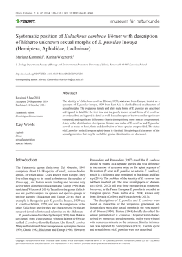 Eulachnus Cembrae Börner with Description of Hitherto Unknown Sexual Morphs of E