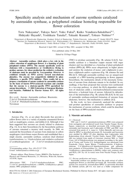 Speci¢City Analysis and Mechanism of Aurone Synthesis Catalyzed by Aureusidin Synthase, a Polyphenol Oxidase Homolog Responsible for £Ower Coloration