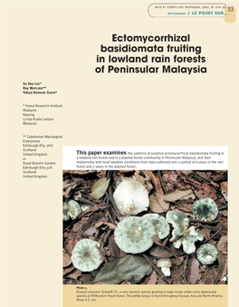 Ectomycorrhizal Basidiomata Fruiting in Lowland Rain Forests of Peninsular Malaysia