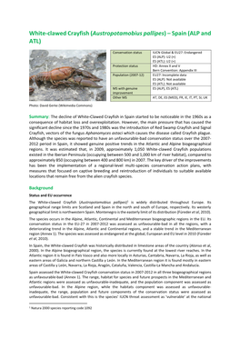 White-Clawed Crayfish (Austropotamobius Pallipes) – Spain (ALP and ATL)