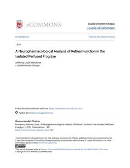 A Neuropharmacological Analysis of Retinal Function in the Isolated Perfused Frog Eye