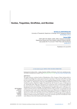 Suidae, Tragulidae, Giraffidae, and Bovidae