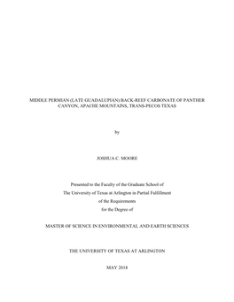 Middle Permian (Late Guadalupian) Back-Reef Carbonate of Panther Canyon, Apache Mountains, Trans-Pecos Texas