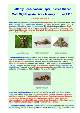 Butterfly Conservation Upper Thames Branch Moth Sightings Archive - January to June 2013