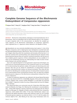 Complete Genome Sequence of the Blochmannia Endosymbiont of Camponotus Nipponensis