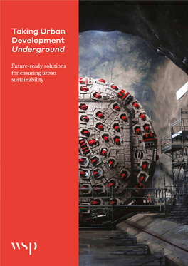Taking Urban Development Underground