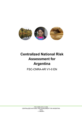 CENTRALIZED NATIONAL RISK ASSESSMENT for ARGENTINA 2019 – 1 of 279 –