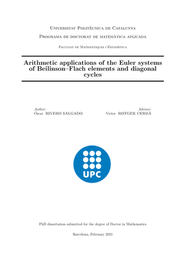 Arithmetic Applications of the Euler Systems of Beilinson–Flach Elements and Diagonal Cycles