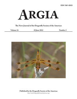 The News Journal of the Dragonfly