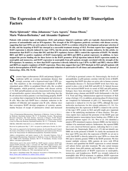 IRF Transcription Factors the Expression of BAFF Is Controlled By