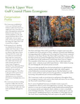 West & Upper West Gulf Coastal Plains Ecoregions