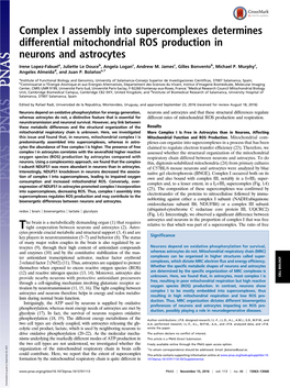 Complex I Assembly Into Supercomplexes Determines Differential Mitochondrial ROS Production in Neurons and Astrocytes