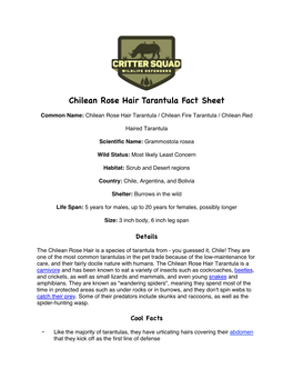 Chilean Rose Hair Tarantula Fact Sheet