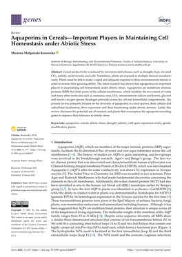 Aquaporins in Cereals—Important Players in Maintaining Cell Homeostasis Under Abiotic Stress