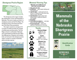 Mammals of the Nebraska Shortgrass Prairie