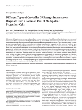 Different Types of Cerebellar Gabaergic Interneurons Originate from a Common Pool of Multipotent Progenitor Cells