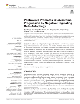 Pentraxin 3 Promotes Glioblastoma Progression by Negative Regulating Cells Autophagy