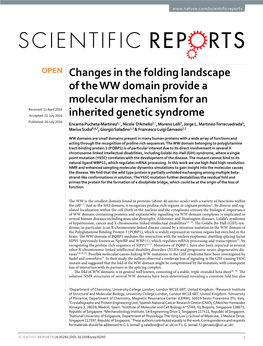 Changes in the Folding Landscape of the WW Domain Provide a Molecular Mechanism for an Inherited Genetic Syndrome