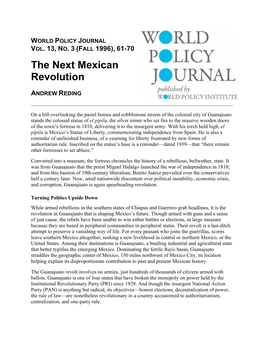 Next Mexican Revolution