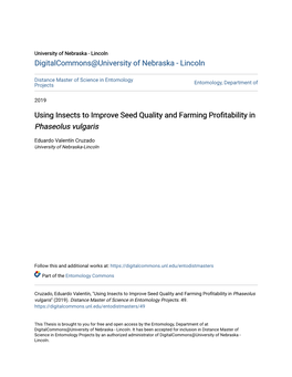 Using Insects to Improve Seed Quality and Farming Profitability in Phaseolus Vulgaris