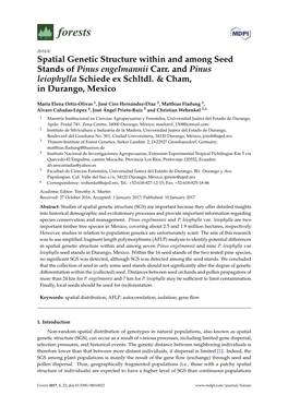 Spatial Genetic Structure Within and Among Seed Stands of Pinus Engelmannii Carr