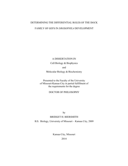 Determining the Differential Roles of the Dock Family Of