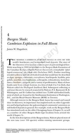 Burgess Shale: Cambrian Explosion in Full Bloom