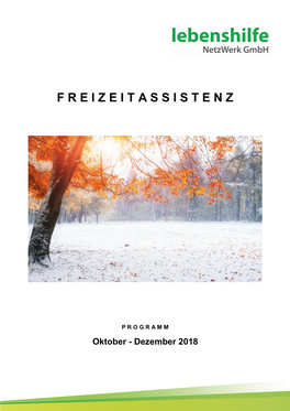 Freizeitassistenz