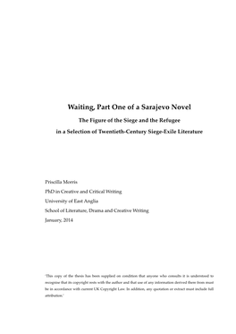 Waiting, Part One of a Sarajevo Novel