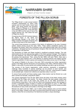 Forests of the Pilliga Scrub