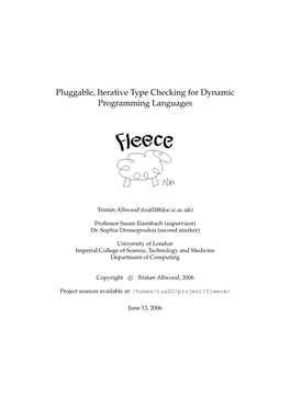 Pluggable, Iterative Type Checking for Dynamic Programming Languages