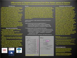 Claytonia Scammaniana from Other Alaskan Species of Claytonia By: Robert J