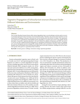 Vegetative Propagation of Schizachyrium Tenerum (Poaceae) Under Different Substrates and Environments Letícia Sena1 Thaise De O