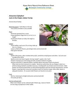 Kasey Hartz Natural Area Reference Sheet Arisaema Triphyllum Jack-In