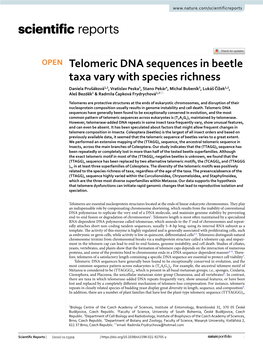 Telomeric DNA Sequences in Beetle Taxa Vary with Species Richness