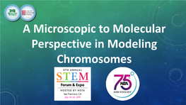 A Microscopic to Molecular Perspective in Modeling Chromosomes WORKSHOP LEARNING OBJECTIVES